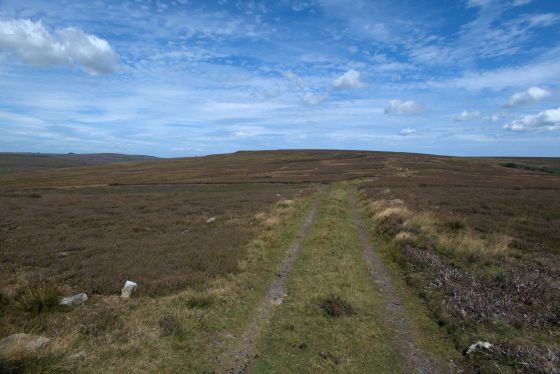 Wayworth Moor (Barrow / Cairn Cemetery)