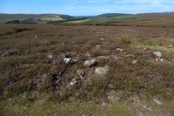 Wayworth Moor (Barrow / Cairn Cemetery)