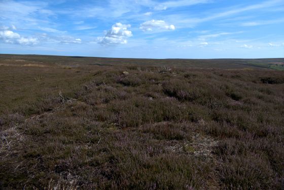 Wayworth Moor (Barrow / Cairn Cemetery)