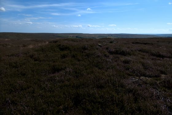 Wayworth Moor (Barrow / Cairn Cemetery)