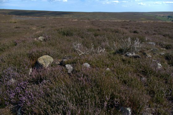 Wayworth Moor (Barrow / Cairn Cemetery)