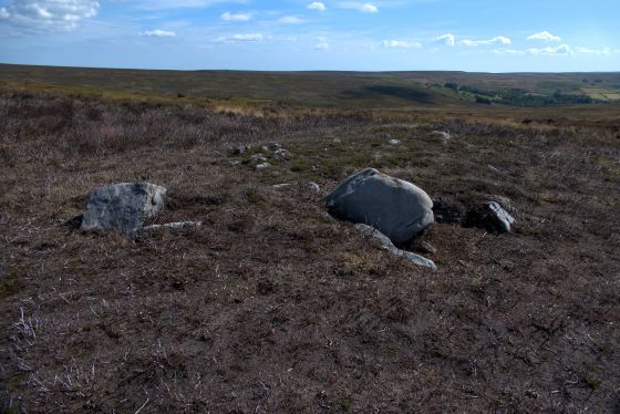 Wayworth Moor (Barrow / Cairn Cemetery)