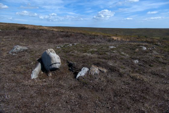 Wayworth Moor (Barrow / Cairn Cemetery)