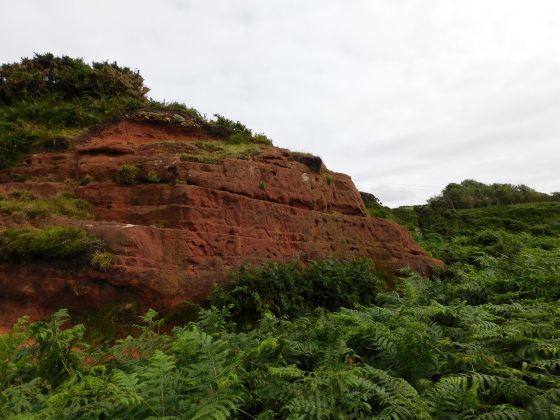 Red Cove (Stone Fort / Dun)