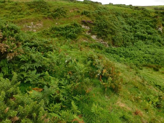 Red Cove (Stone Fort / Dun)