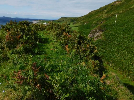 Dun Domhnuill