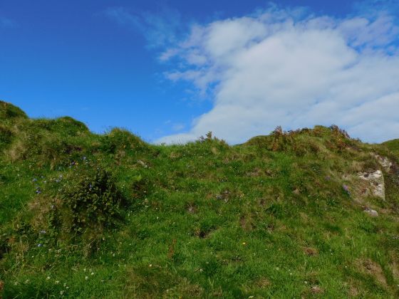 Dun Domhnuill
