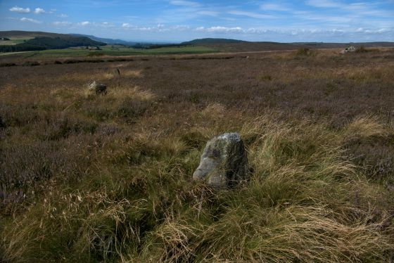 Commondale (Stone Circle)