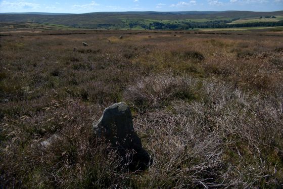 Commondale (Stone Circle)