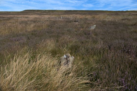 Commondale (Stone Circle)