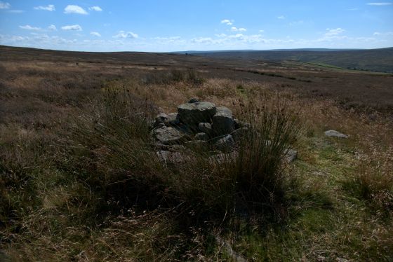 Commondale (Stone Circle)