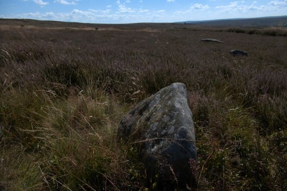 Commondale (Stone Circle)