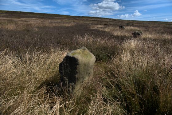 Commondale (Stone Circle)
