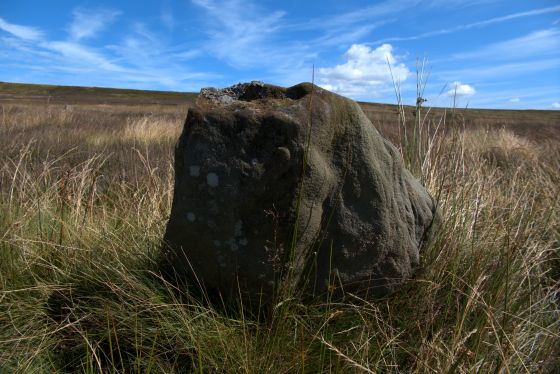Commondale (Stone Circle)