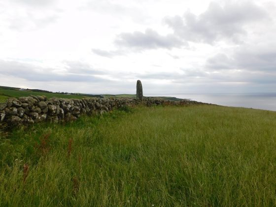 Carragh Muasdale (Standing Stone / Menhir)