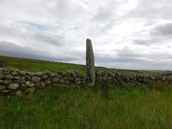 Carragh Muasdale (Standing Stone / Menhir)