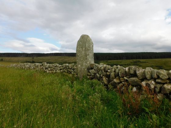 Carragh Muasdale (Standing Stone / Menhir)