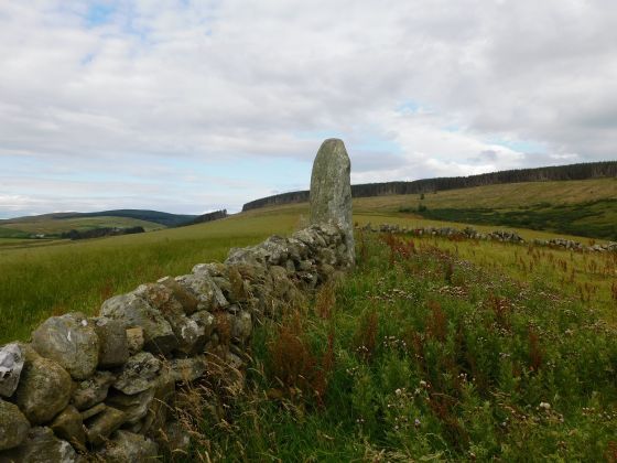 Carragh Muasdale (Standing Stone / Menhir)