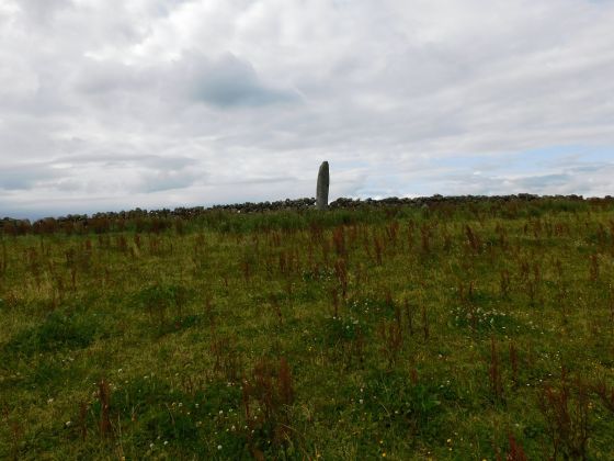 Carragh Muasdale (Standing Stone / Menhir)