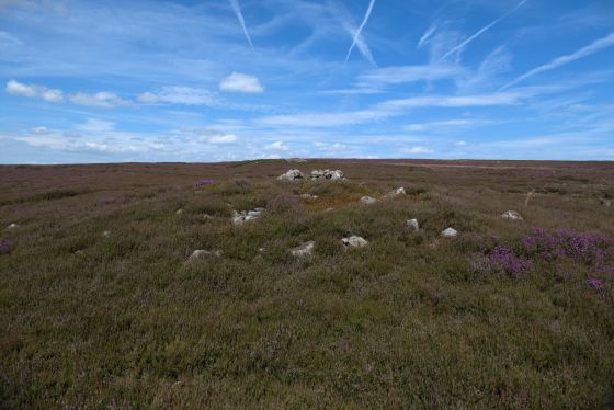 Commondale Moor (Cairn(s))