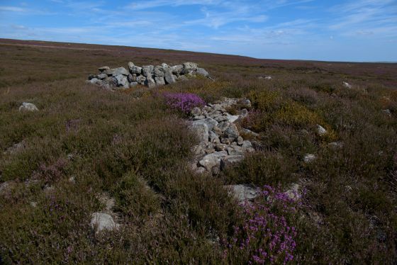 Commondale Moor (Cairn(s))