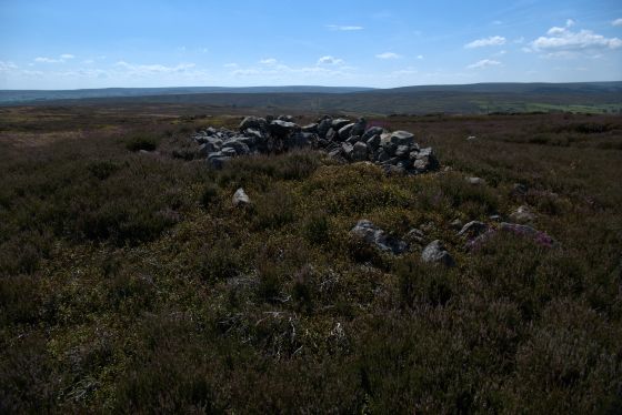 Commondale Moor (Cairn(s))