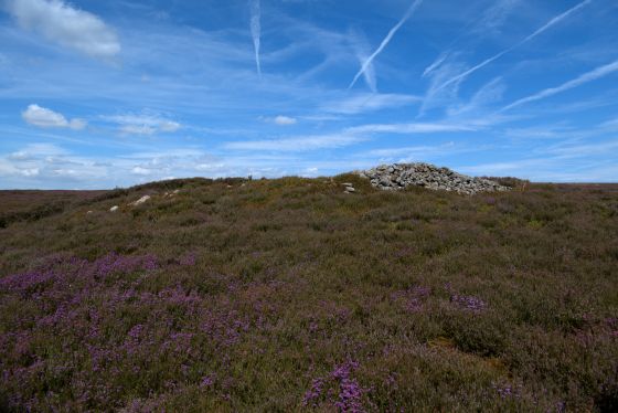 Commondale Moor (Cairn(s))