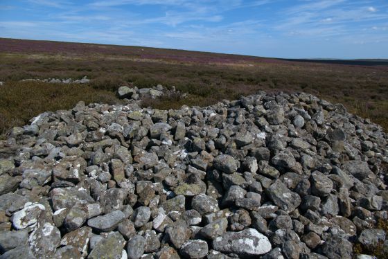 Commondale Moor (Cairn(s))