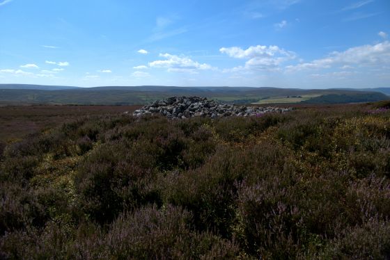 Commondale Moor (Cairn(s))