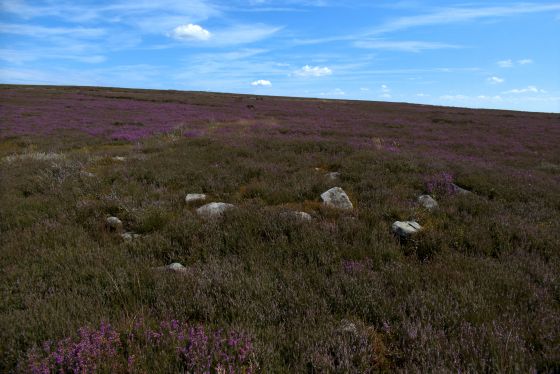 Commondale Moor (Cairn(s))