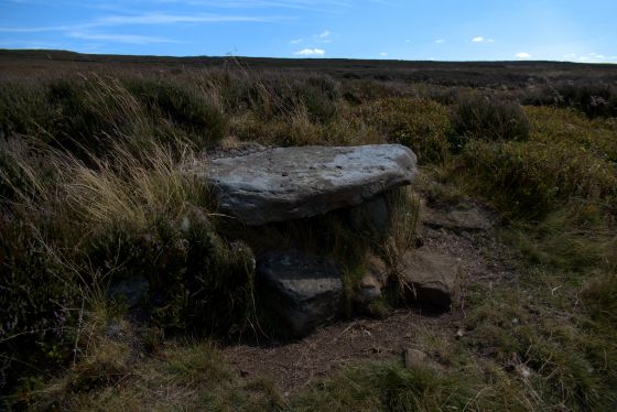 Commondale Moor (Cairn(s))