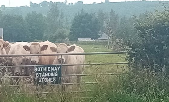 Rothiemay (Stone Circle)