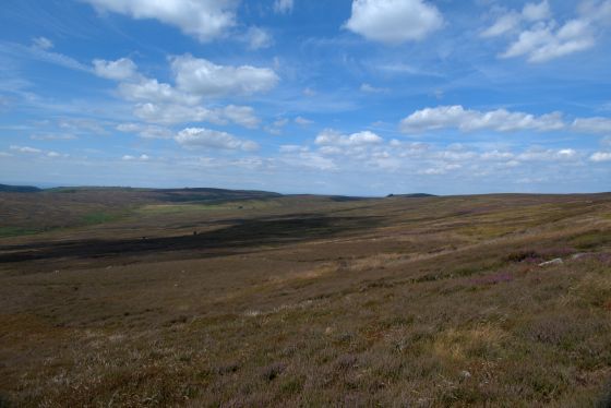Cod Hill, Sleddale (Round Barrow(s))