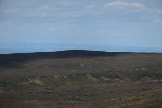 Cod Hill, Sleddale (Round Barrow(s))