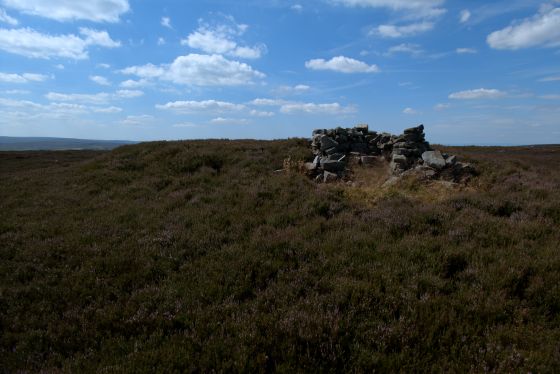 Gisborough Moor (Round Barrow(s))