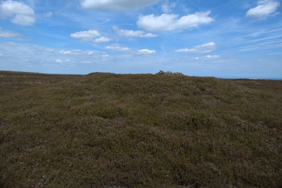 Gisborough Moor (Round Barrow(s))