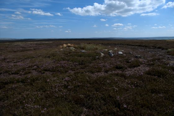 Gisborough Moor (Round Barrow(s))