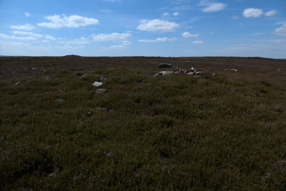 Gisborough Moor (Round Barrow(s))