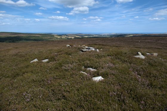 Gisborough Moor (Round Barrow(s))