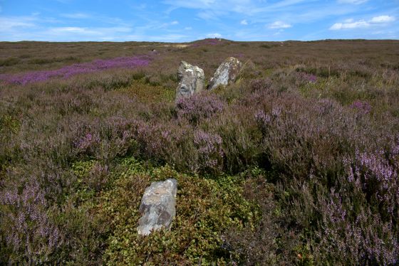 The Bridestones (Commondale) (Stone Row / Alignment)