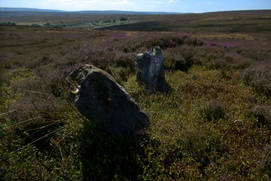 The Bridestones (Commondale) (Stone Row / Alignment)