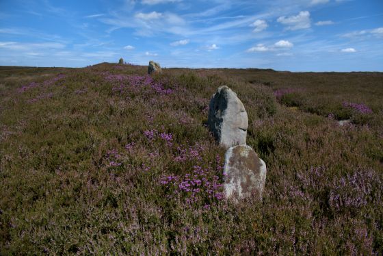 The Bridestones (Commondale) (Stone Row / Alignment)
