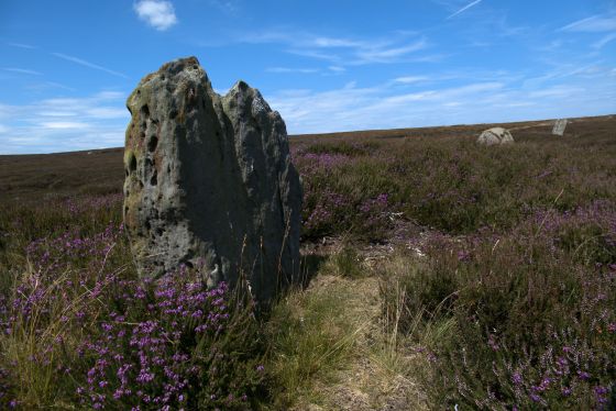 The Bridestones (Commondale) (Stone Row / Alignment)