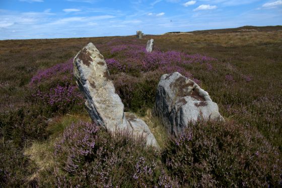 The Bridestones (Commondale) (Stone Row / Alignment)