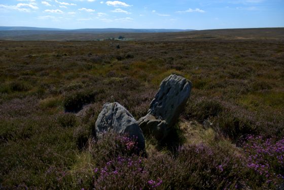 The Bridestones (Commondale) (Stone Row / Alignment)