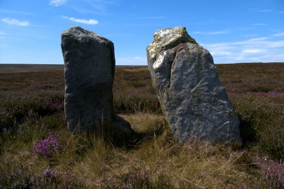 The Bridestones (Commondale) (Stone Row / Alignment)