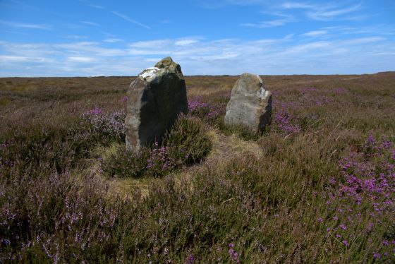 The Bridestones (Commondale) (Stone Row / Alignment)