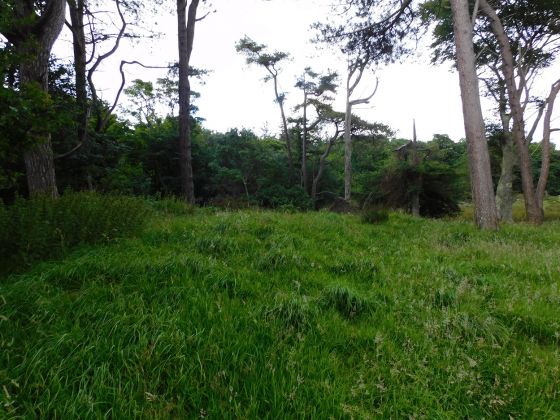 Glencreggan (Stone Fort / Dun)