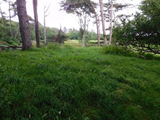 Glencreggan (Stone Fort / Dun)