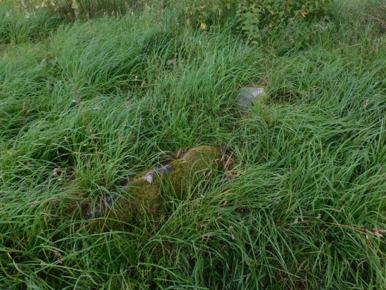 Glencreggan (Stone Fort / Dun)